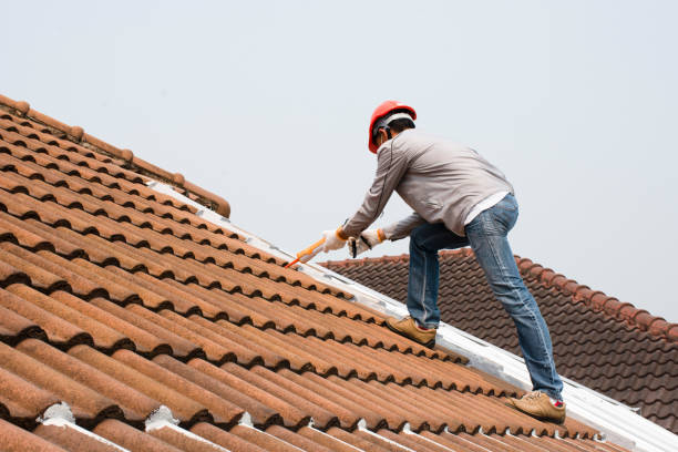 Roof Insulation in Vienna, VA